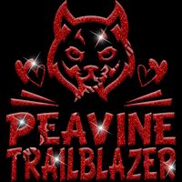 GLT88 RED GLITTER Thumbnail